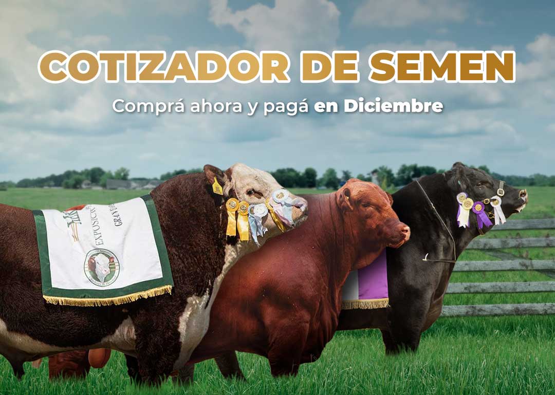 Cotizador-semen